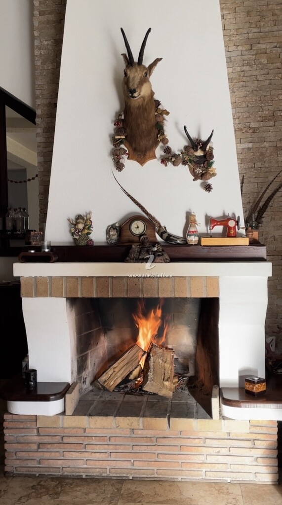 Vila Valea Sălbatică