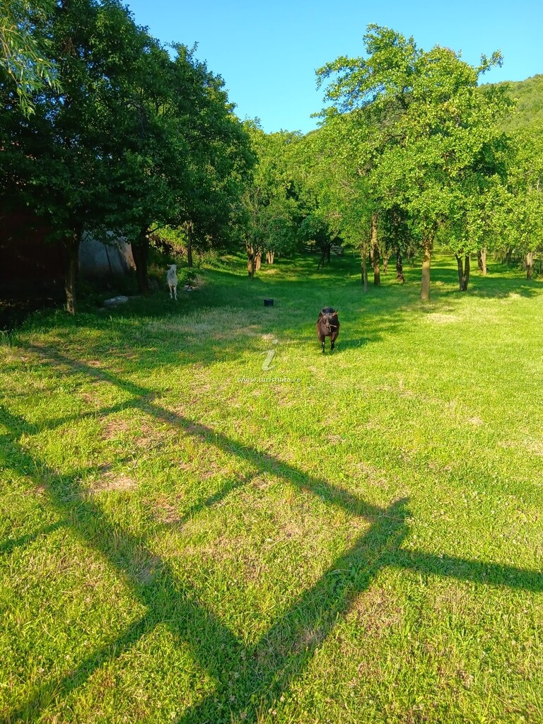 Casa de vacanță Lăcrămioara Mariana