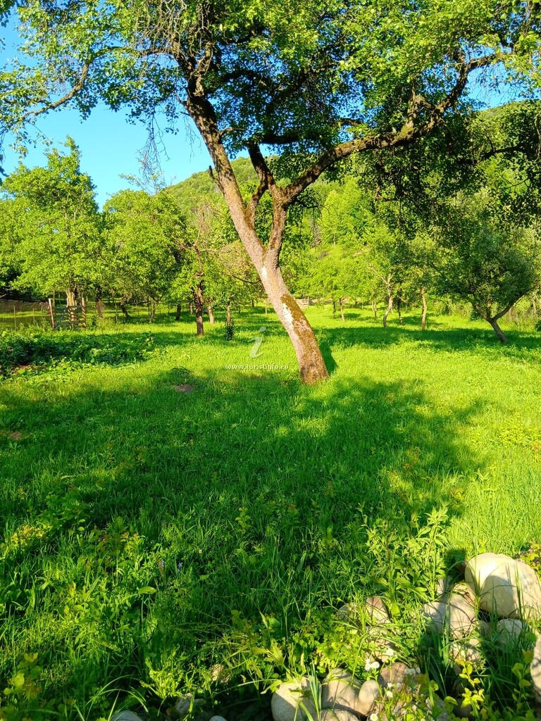 Casa de vacanță Lăcrămioara Mariana