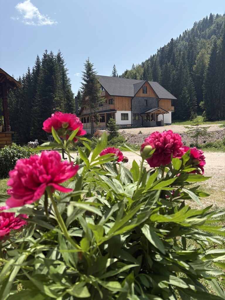 Pensiunea Casa de Piatră