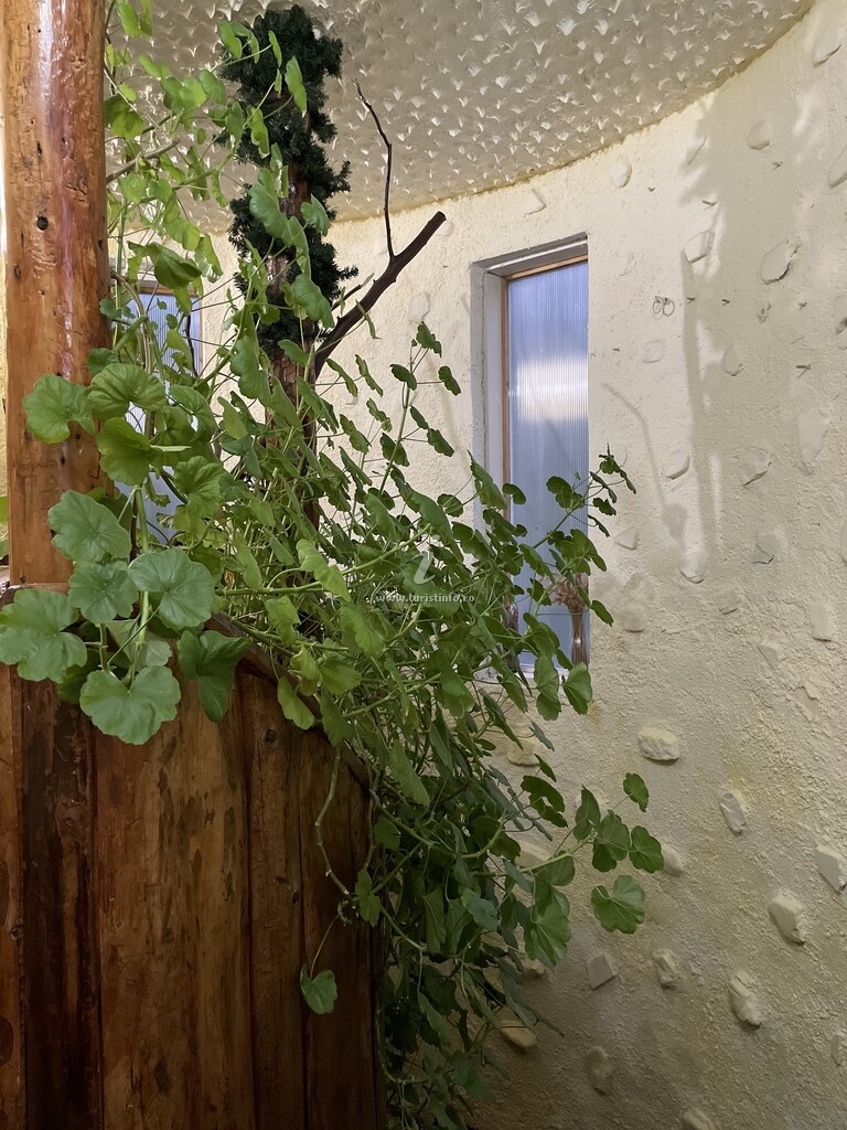 Pensiunea Cetatea Caraiman