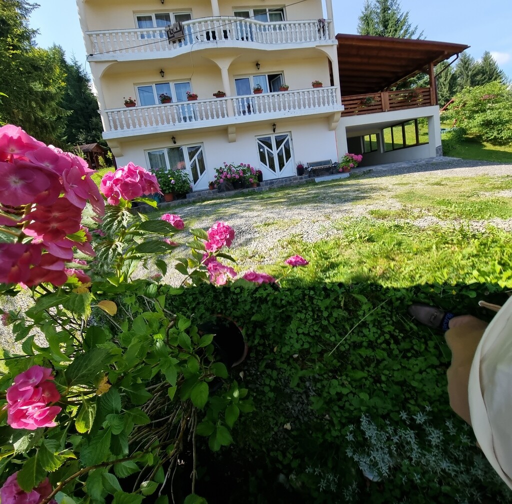 Pensiunea Brădet