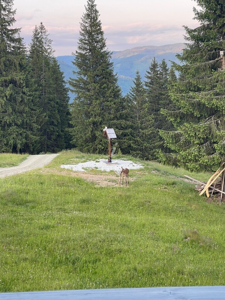 Cabana Foisorul Codrilor