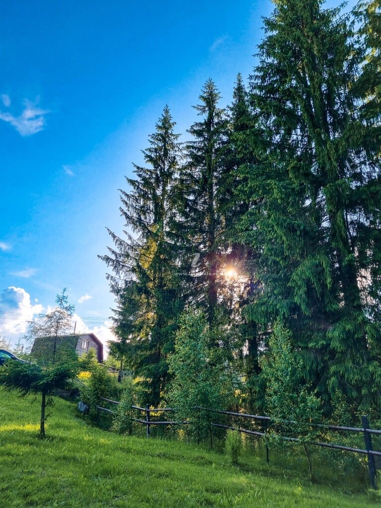 Căbănuța lu' Tata