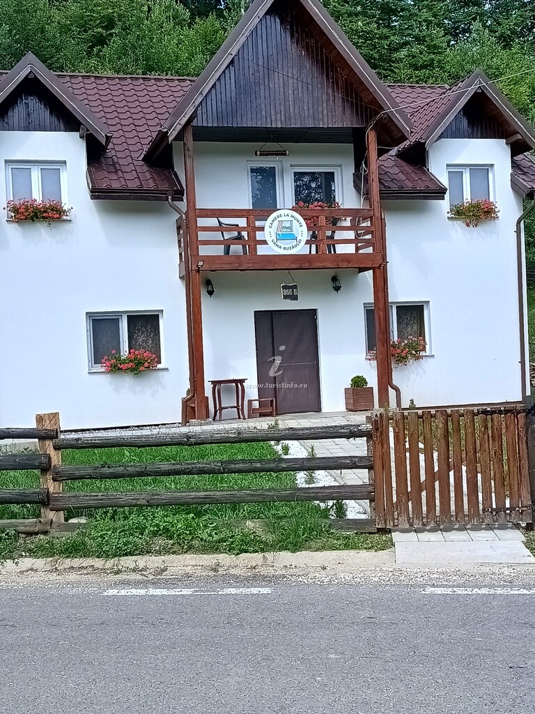 Casa Vânătorului Buzăiel