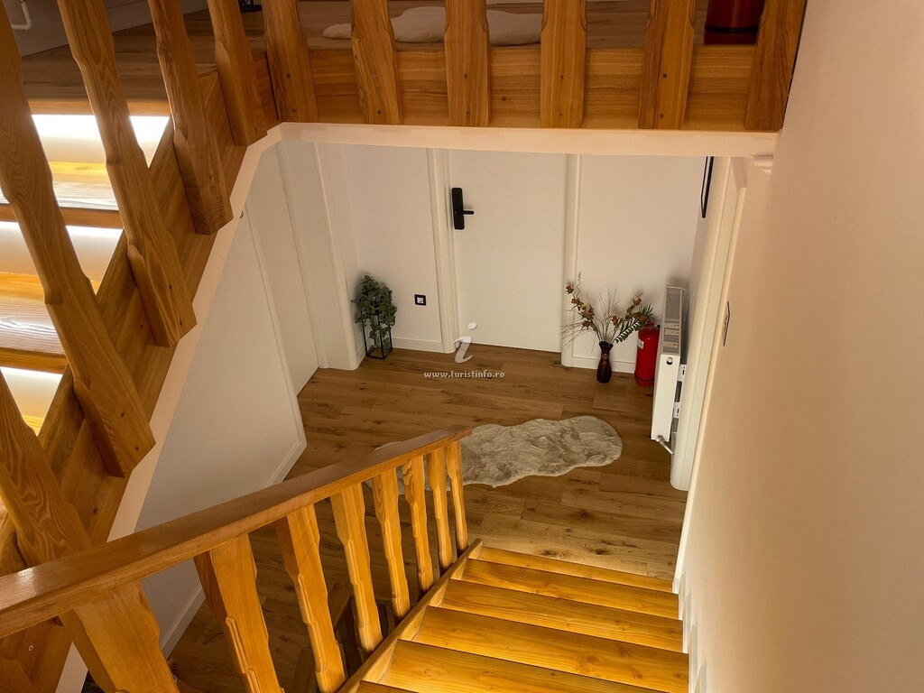Camere de închiriat Dendy