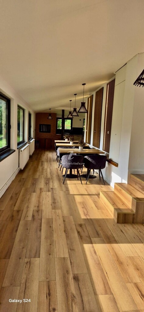 Camere de închiriat Dendy