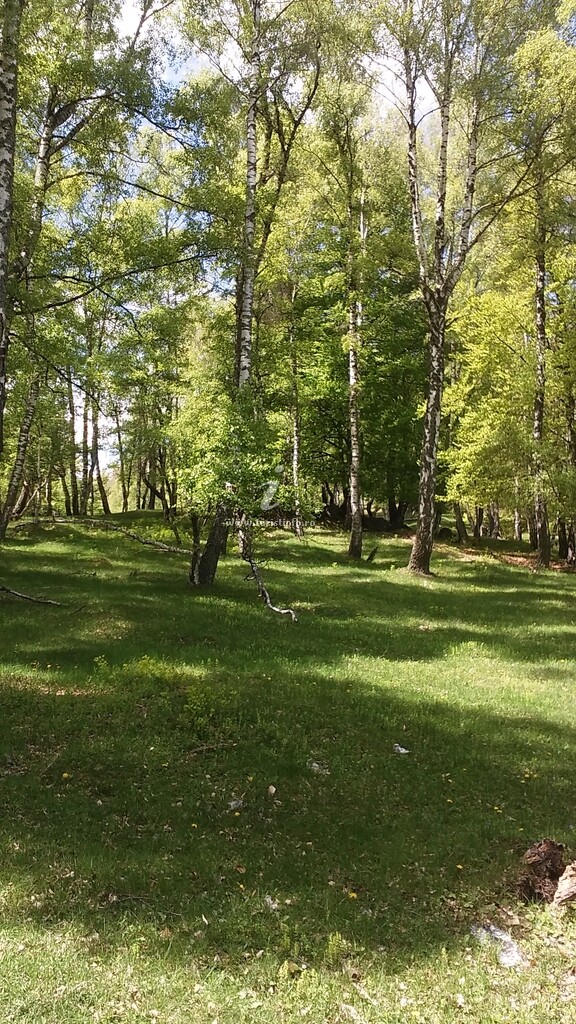 Pensiunea Agroturistică Drumul Voievozilor