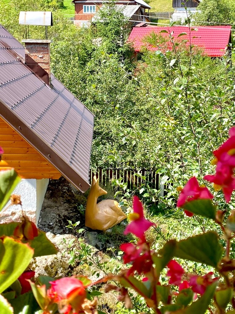 Cabana Stânca Căprioarei