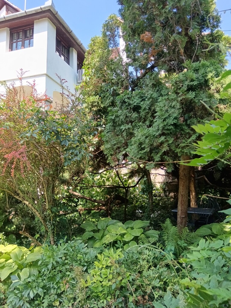 Vila Castelul Maria
