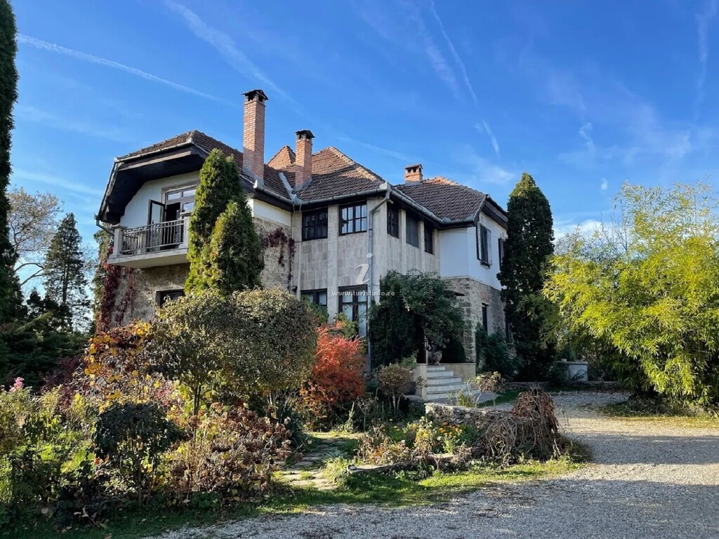 Vila Castelul Maria