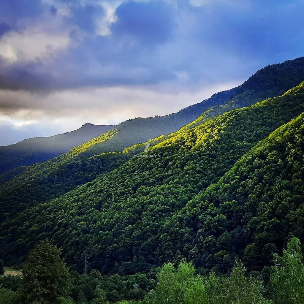Cabana Oana