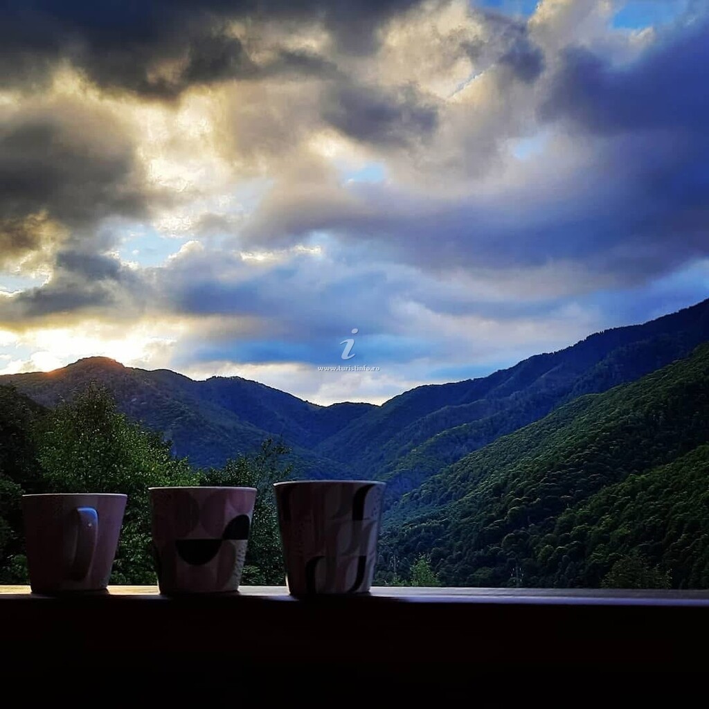Cabana Oana