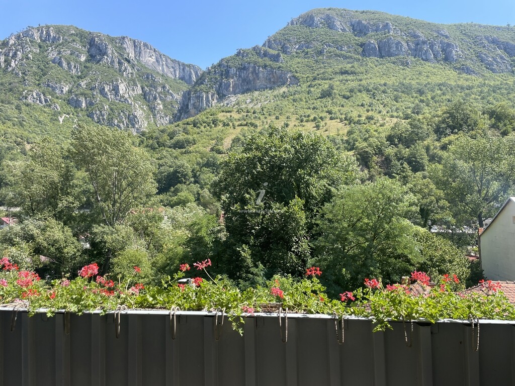 Apartament Belvedere