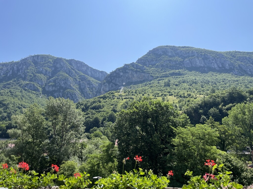 Apartament Belvedere