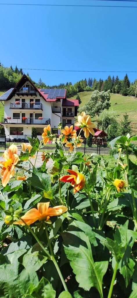 Camere de închiriat La Cascade 2