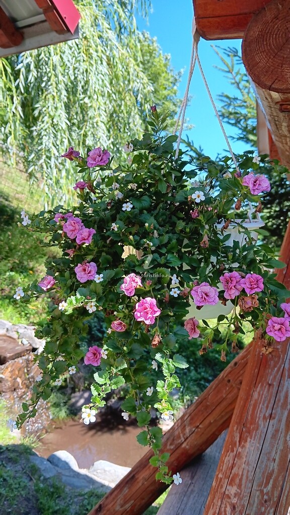 Camere de închiriat La Cascade 2