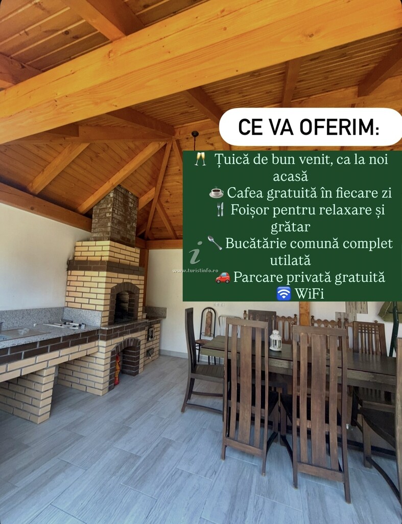Pensiunea Axenia Ale
