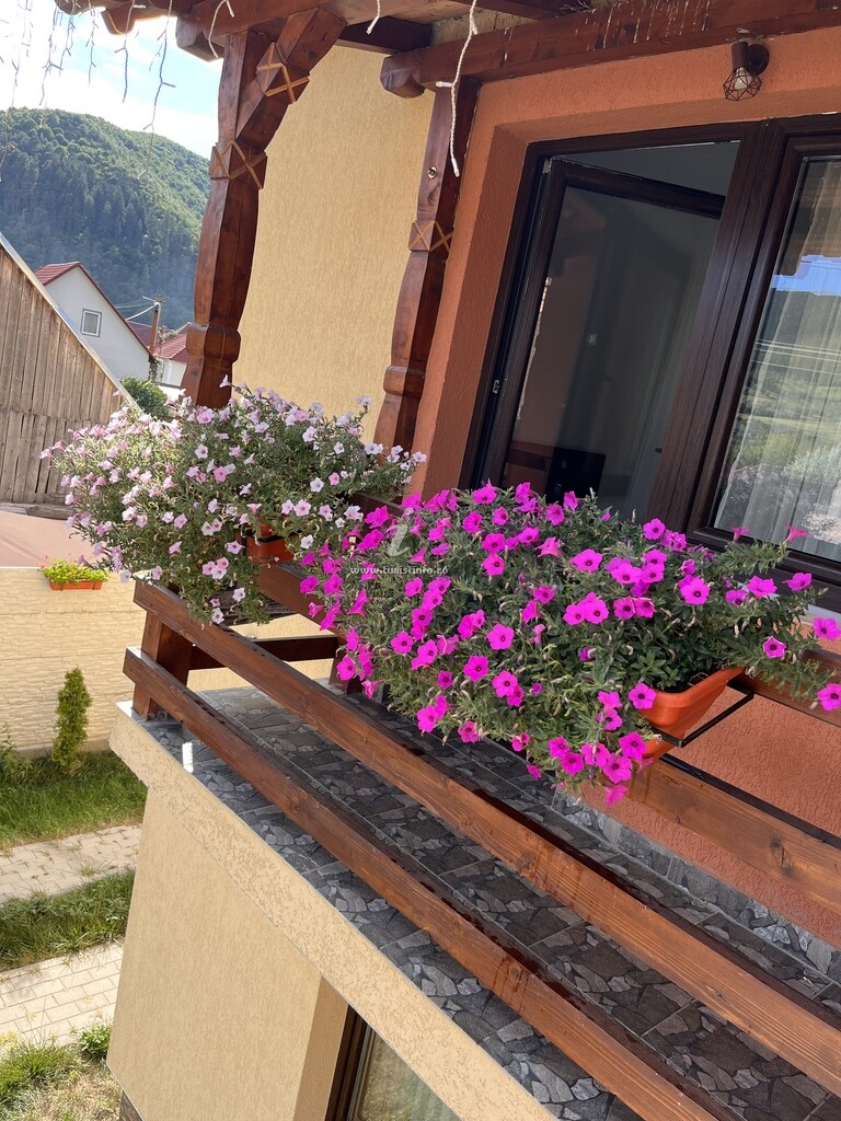 Casa de vacanță Jurca