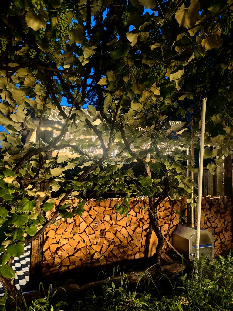 Bungalow Bârlogul Urșilor