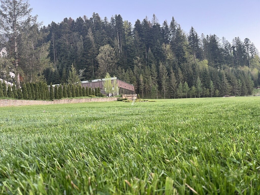 Cabana Iedera Bucovinei