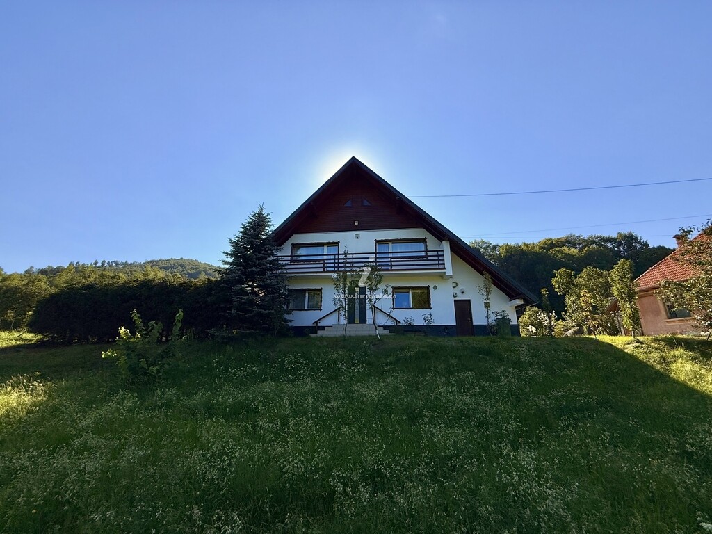Cabana Braduțul de la munte
