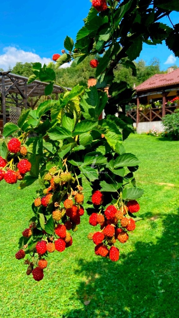 Vila Passiflora