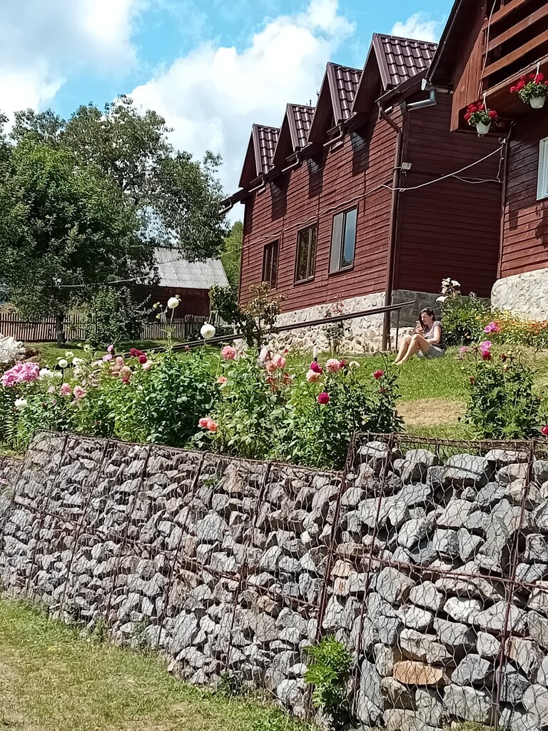 Cabana Dealu Rășinarului