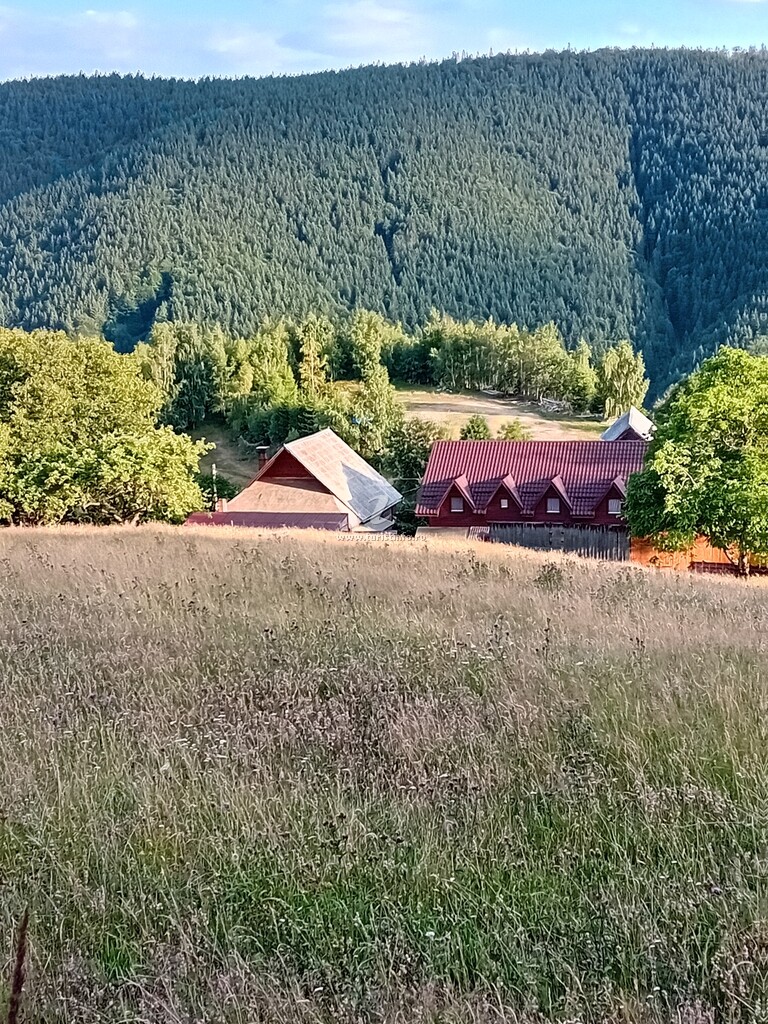 Cabana Dealu Rășinarului