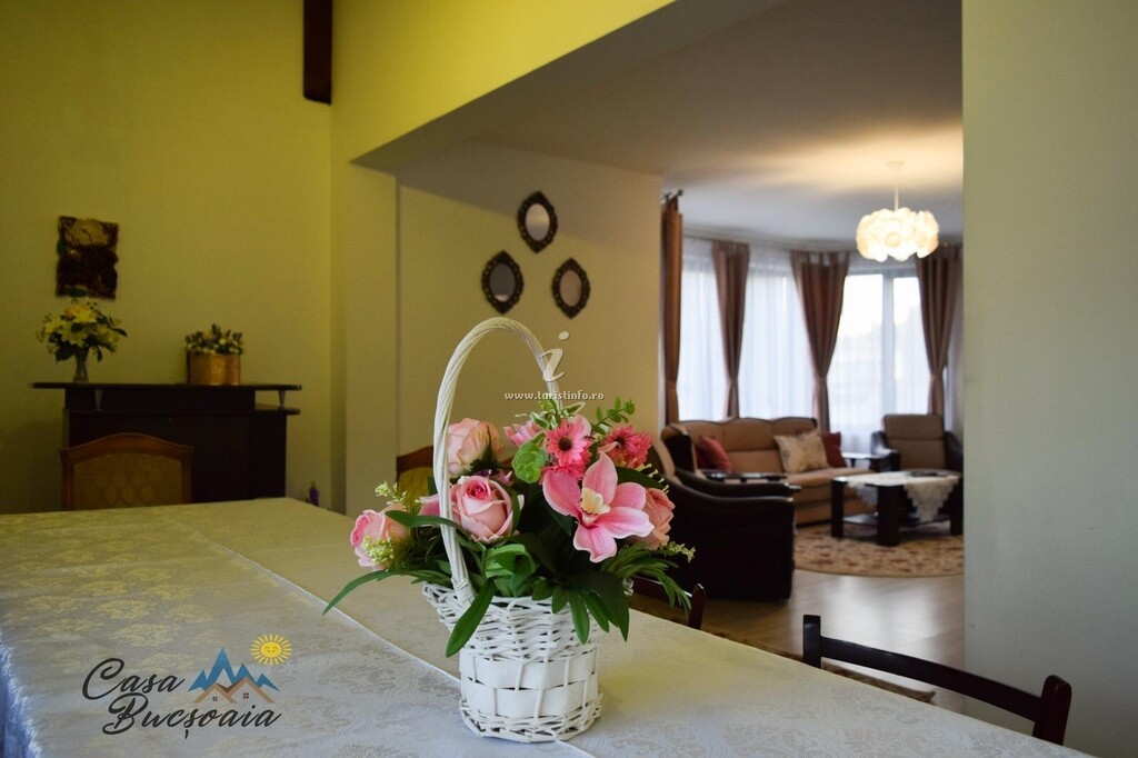 Casa Bucșoaia