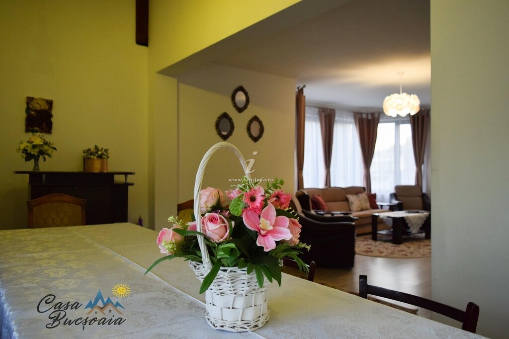 Casa Bucșoaia
