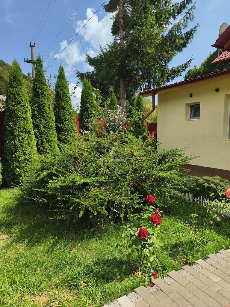 Pensiunea Cosmin