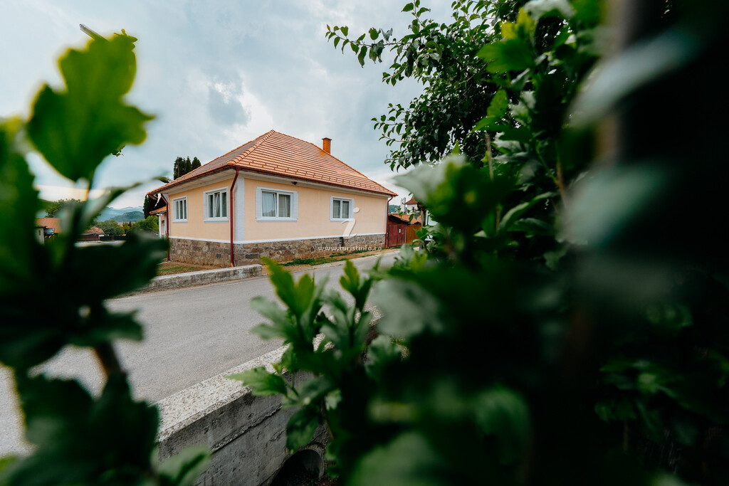Pensiunea de pe Malul Pârâului 3