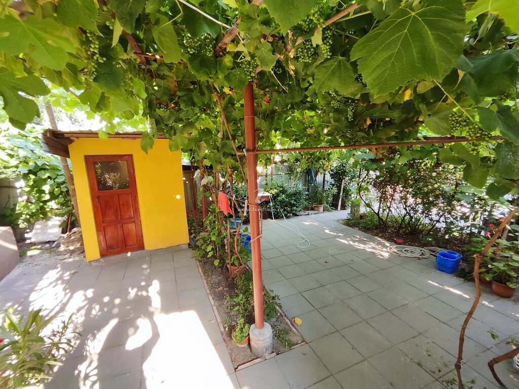 Casa Maxim