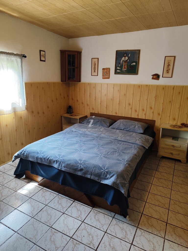 Cabana Pietricica