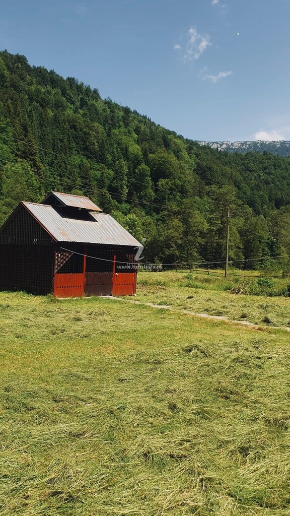 Cabana Cătun Fericit