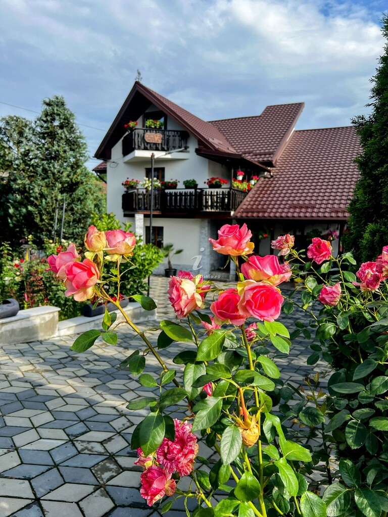 Camere de închiriat Casa Ela