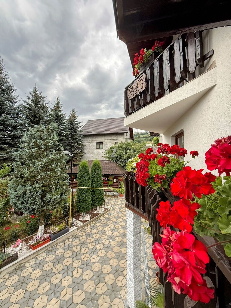 Camere de închiriat Casa Ela