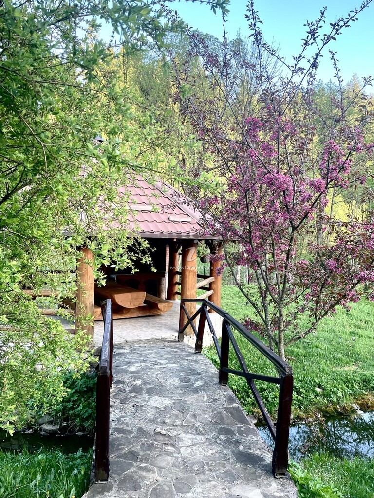 Cabana Piatra Runcului