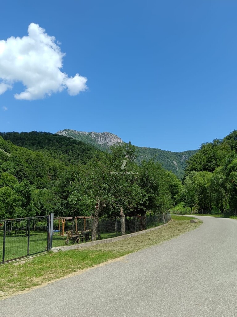 Cabana Lui Foardă