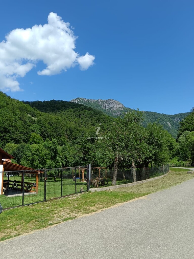 Cabana Lui Foardă