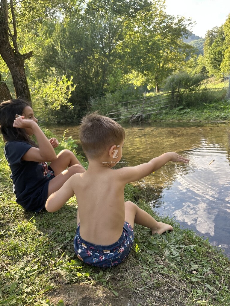 Cabana Lui Foardă