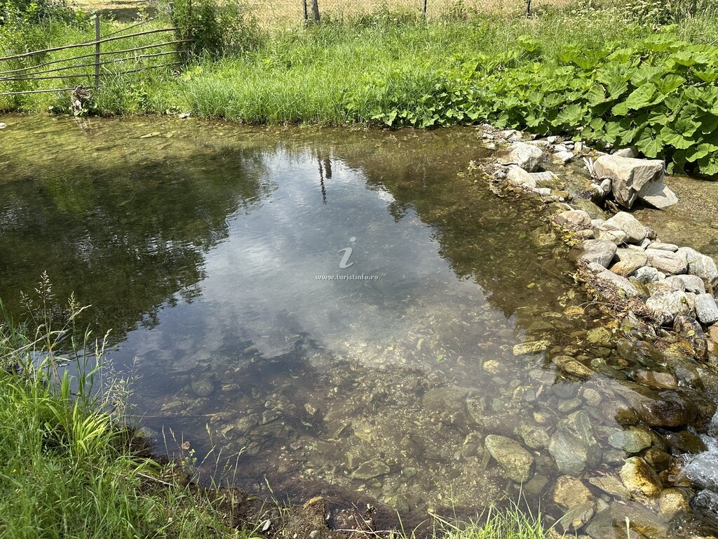 Cabana Lui Foardă