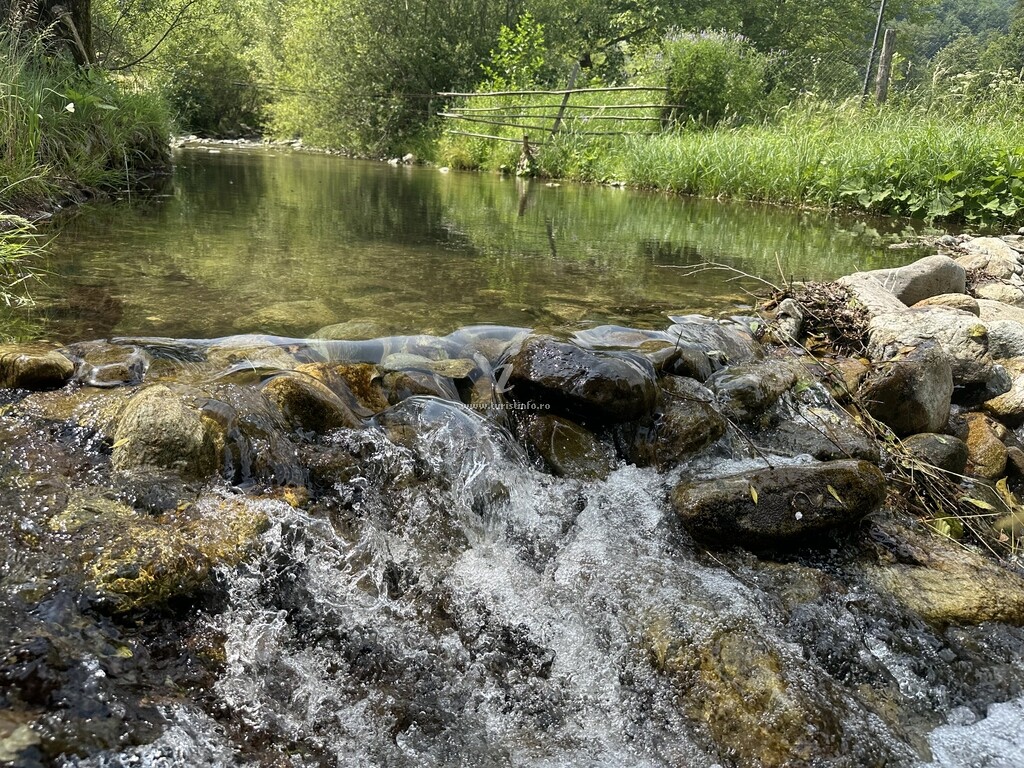 Cabana Lui Foardă