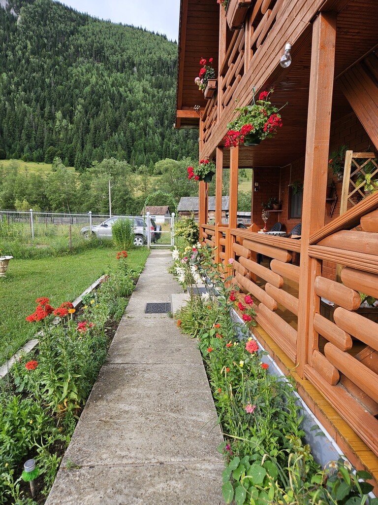 Casa Iris