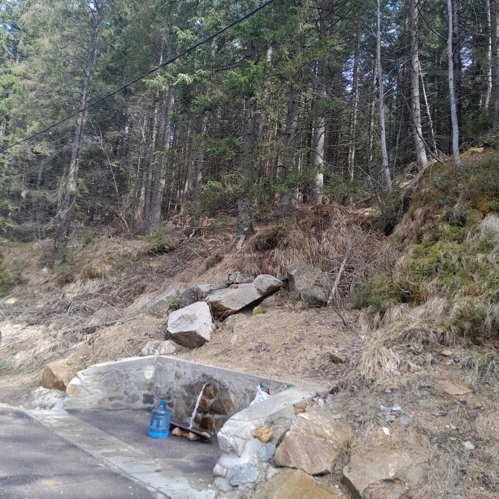 Pensiunea Panoramic
