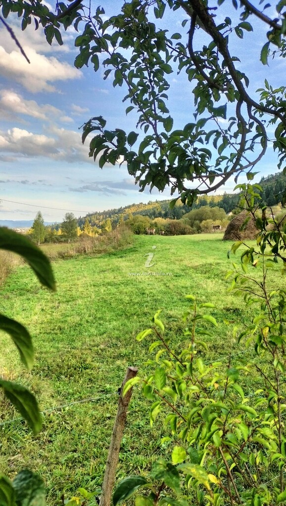 Căsuța Albă
