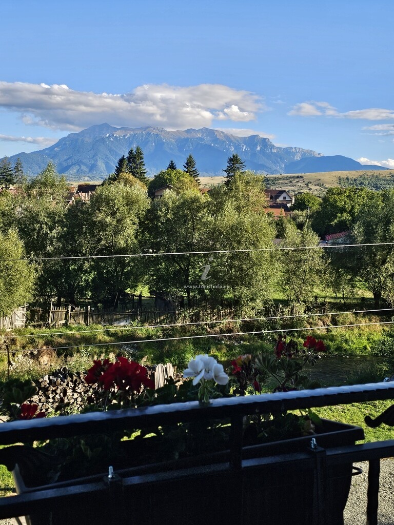 Pensiunea de sub Pădure