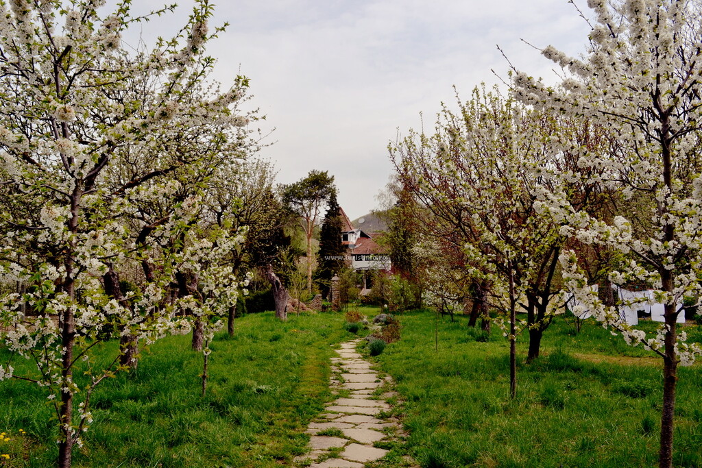 Vila Castelul Maria