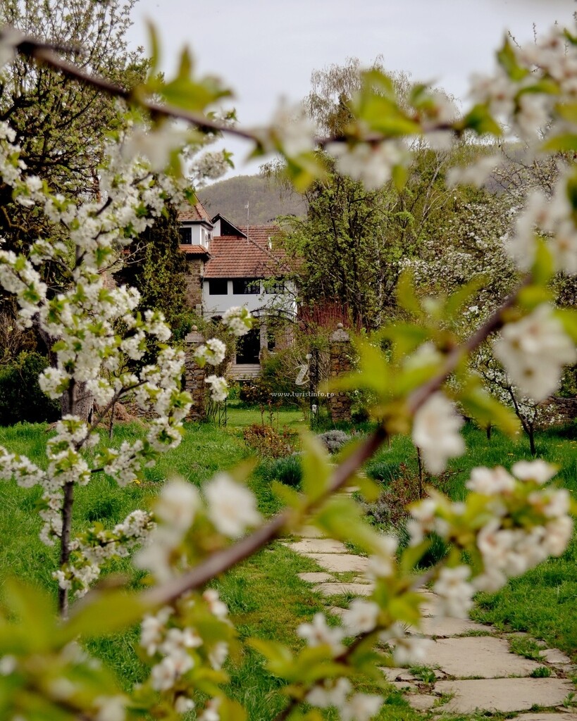 Vila Castelul Maria